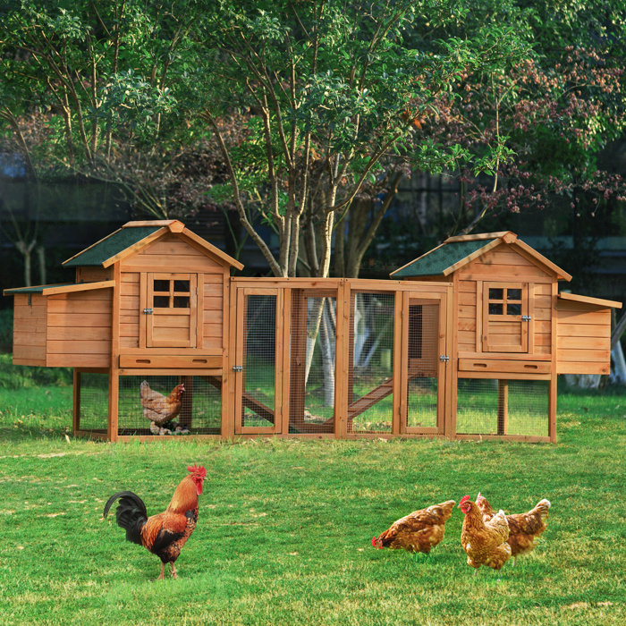 Tucker Murphy™ Pet Wayde Walk In Chicken Coop with Chicken Run For Up